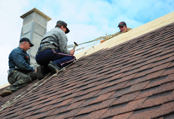Best Roof Gutter Cleaning  in Lynnville, IN